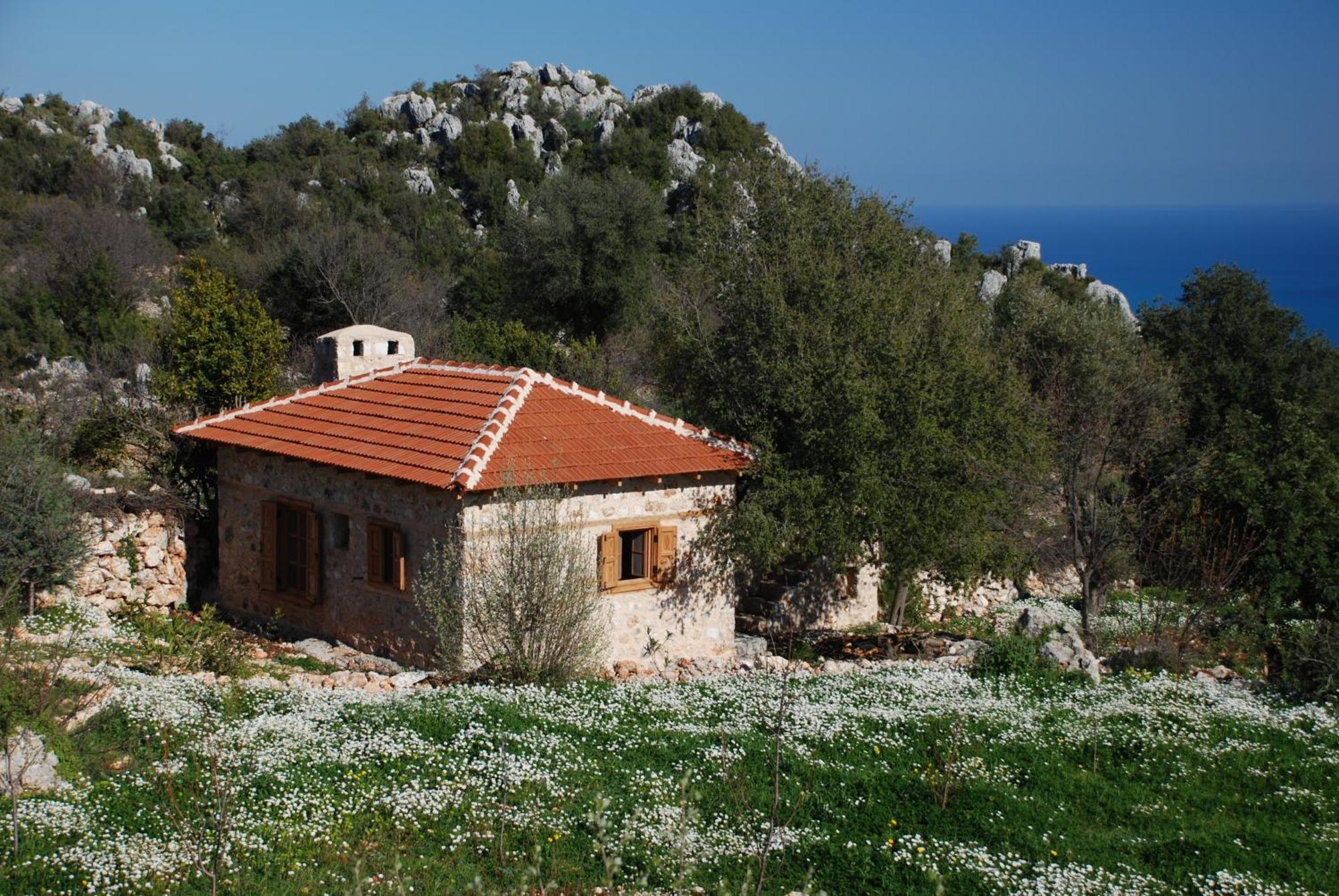 Hoyran Wedre Country Houses Davazlar Bagian luar foto